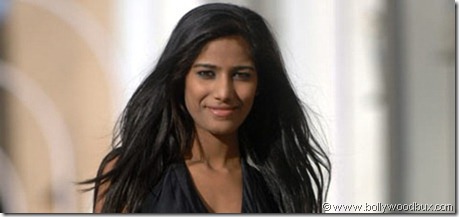 Real New Gossips, Bollywood News, Hollywood News, Entertainment News